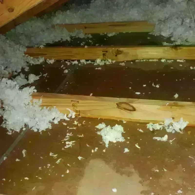 Attic Water Damage in University Place, WA