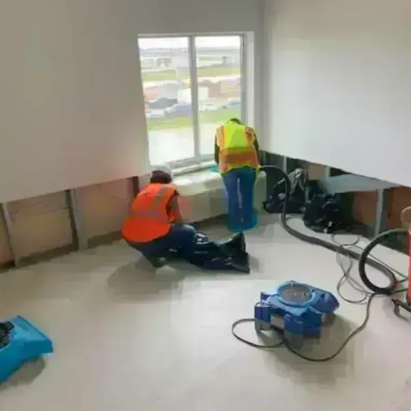 Drying And Dehumidification in University Place, WA